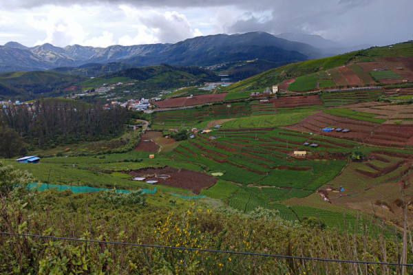 Agricultural Land Near Ooty, TN